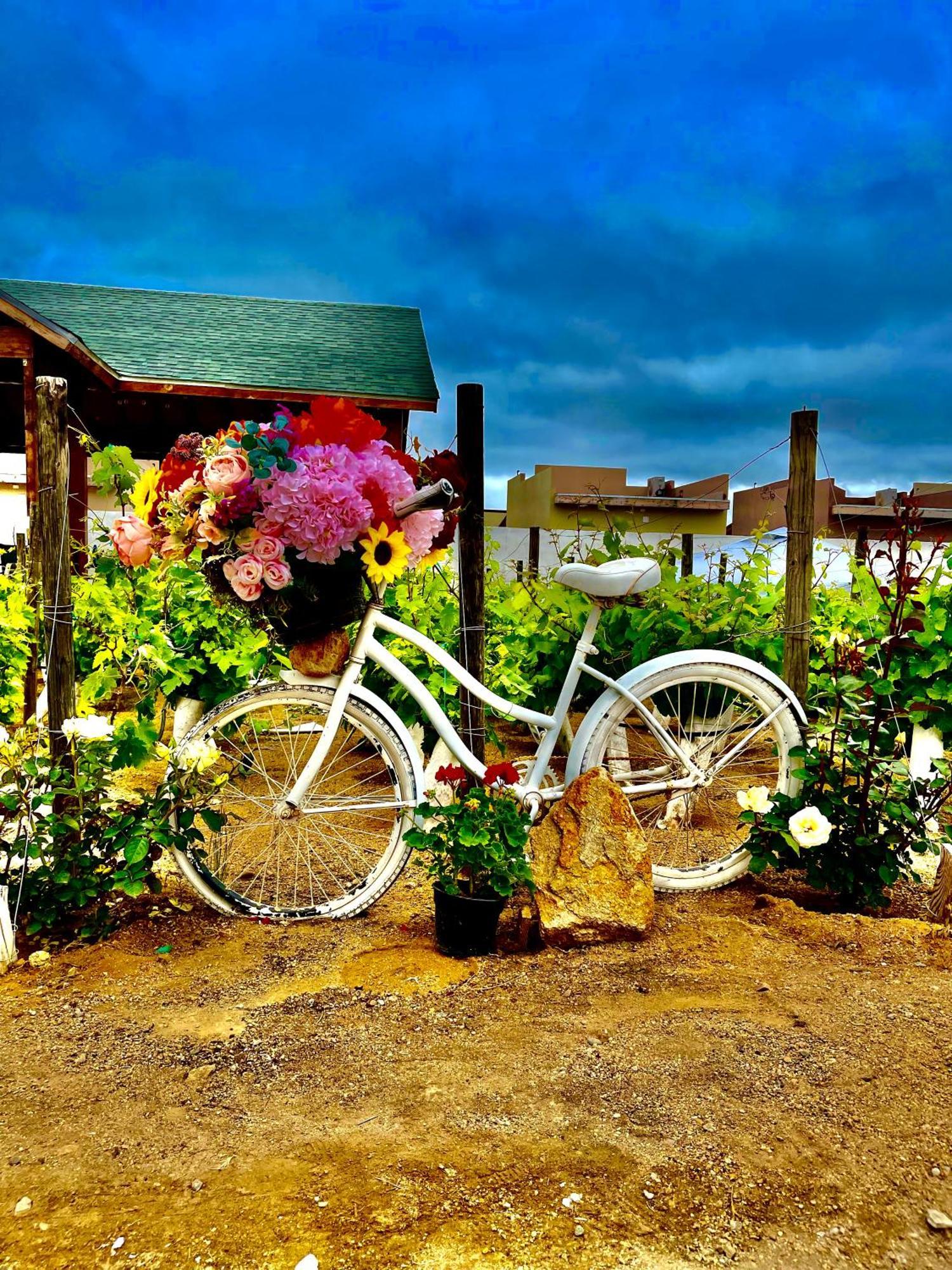 Hacienda 7 Amores El Porvenir ภายนอก รูปภาพ