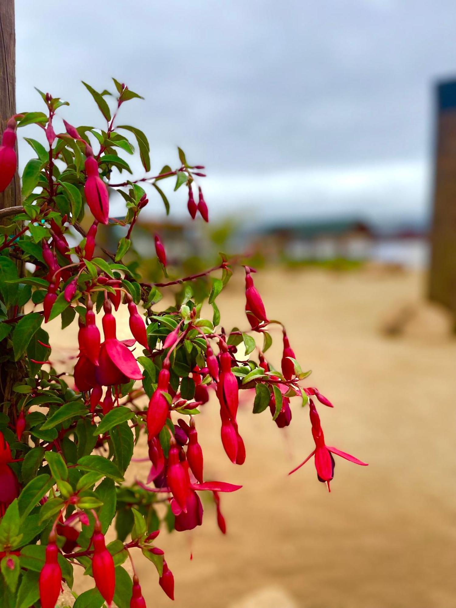 Hacienda 7 Amores El Porvenir ภายนอก รูปภาพ