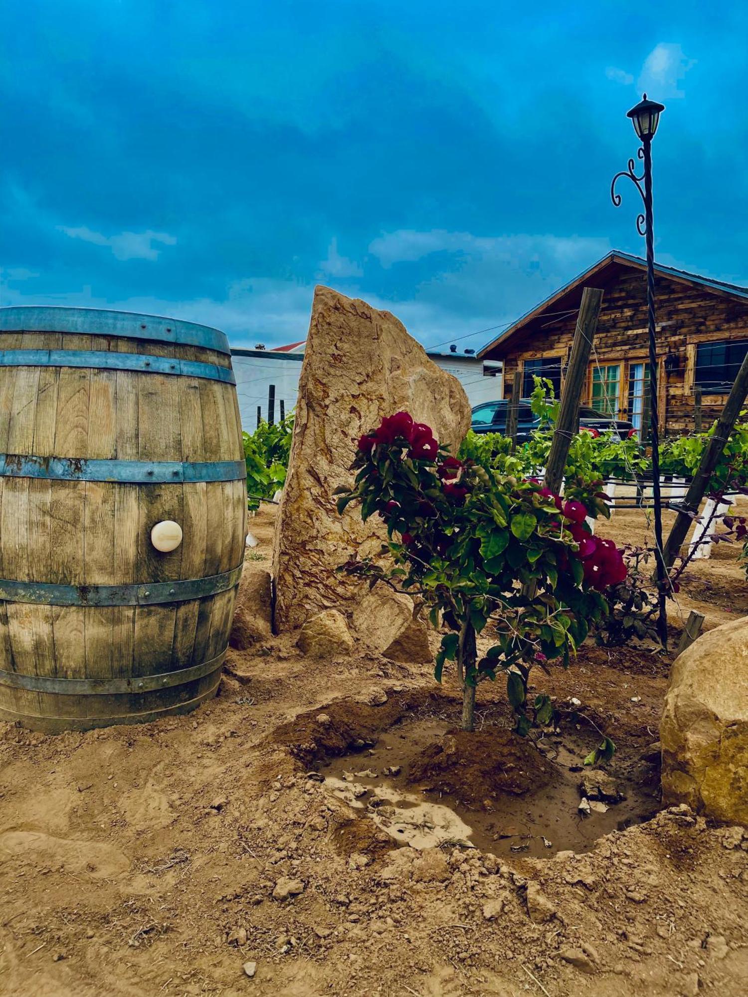 Hacienda 7 Amores El Porvenir ภายนอก รูปภาพ