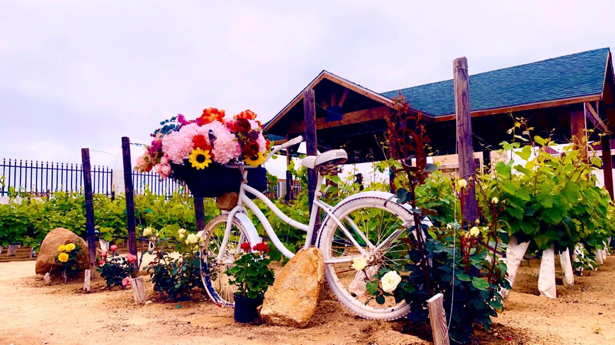 Hacienda 7 Amores El Porvenir ภายนอก รูปภาพ