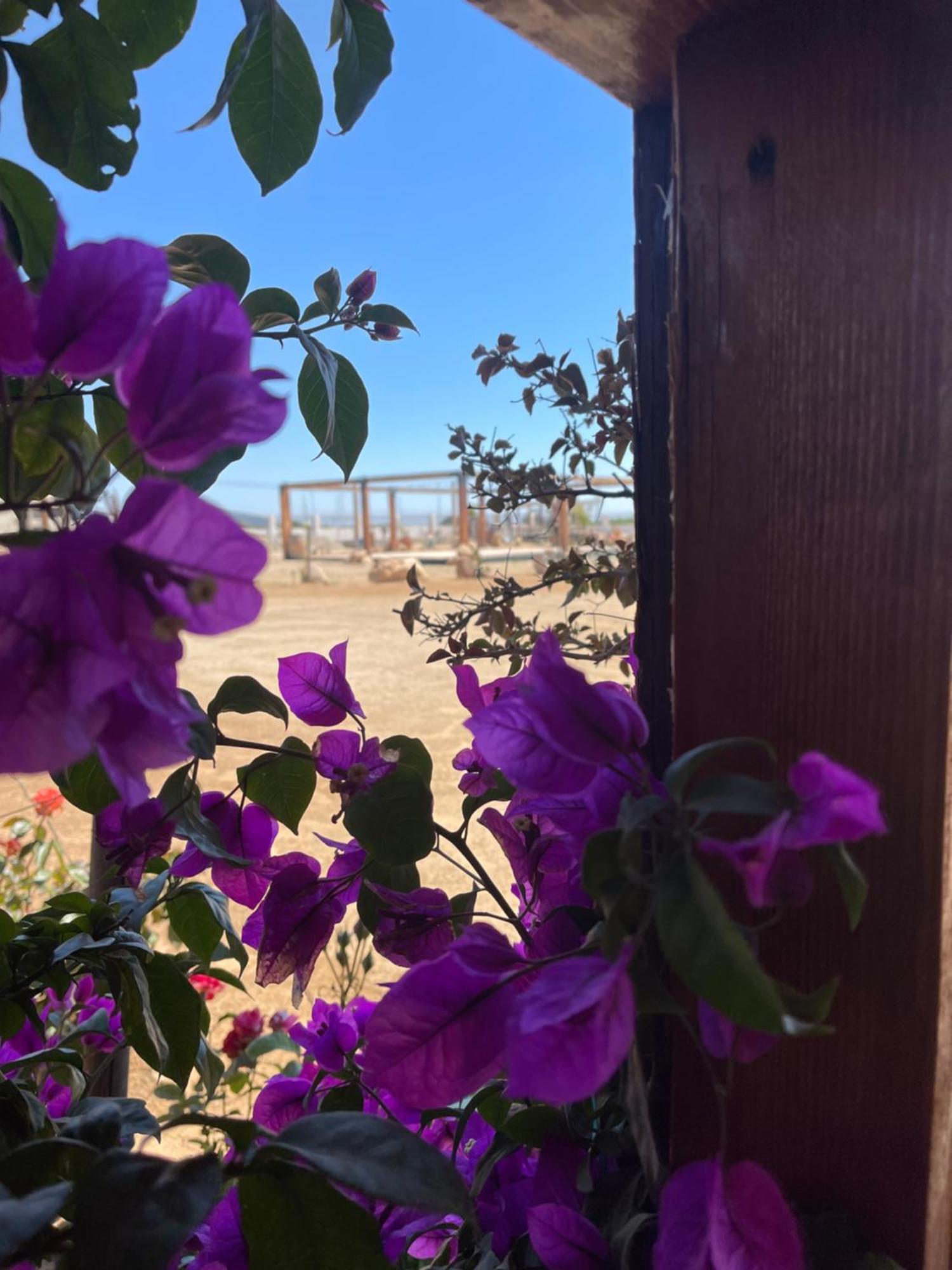 Hacienda 7 Amores El Porvenir ภายนอก รูปภาพ